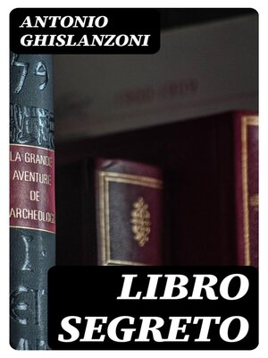 cover image of Libro segreto